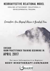 narm-training-chicago-advert